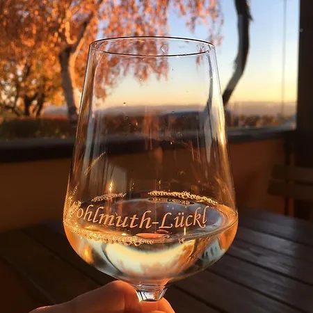 Mini-hôtel Wohlmuth-lueckl *