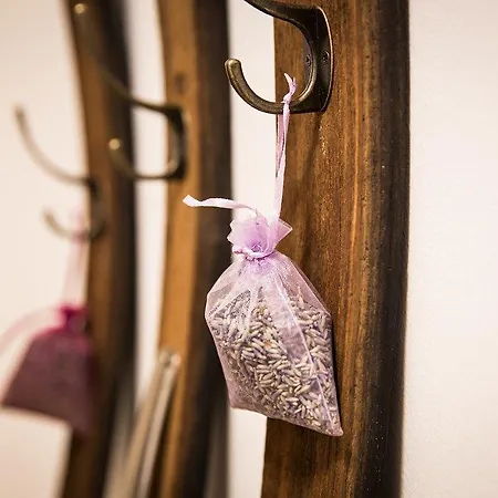 宾馆 沃姆-卢克尔宾馆 *