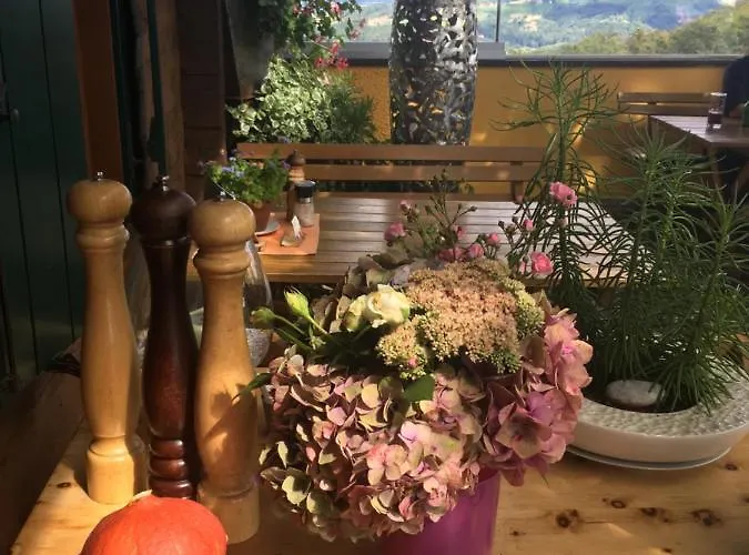 Han/Misafirhane Wohlmuth-lueckl