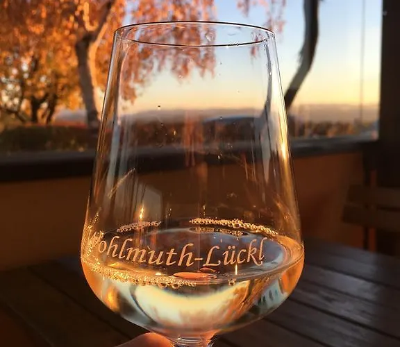 宾馆 沃姆-卢克尔宾馆 *