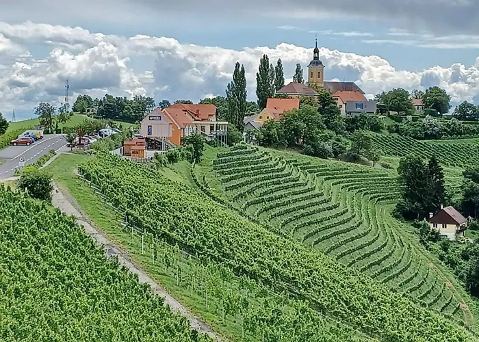 宾馆 沃姆-卢克尔宾馆 绍萨尔地区基策克