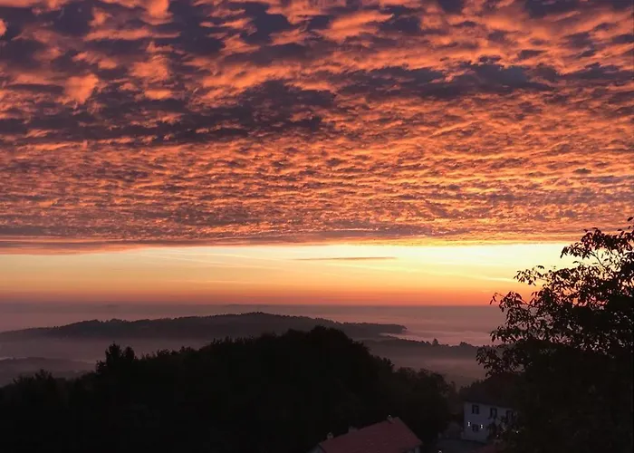 沃姆-卢克尔宾馆 宾馆 绍萨尔地区基策克